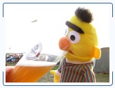 IMG_0598 * 2816 x 2112 * (810KB)