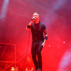 Taubertal-Festival 2017 (FR) - Hauptbühne - Rise Against  D71 3579