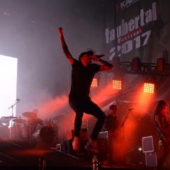 Taubertal-Festival 2017 (SA) - Hauptbühne - Casper  D71 4280