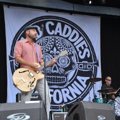 Taubertal-Festival 2018 (FR) - Hauptbühne - Mad Caddies  D71 1470