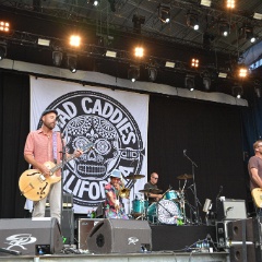 Taubertal-Festival 2018 (FR) - Hauptbühne - Mad Caddies  D71 1482
