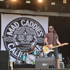 Taubertal-Festival 2018 (FR) - Hauptbühne - Mad Caddies  D71 1483