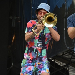 Taubertal-Festival 2018 (FR) - Hauptbühne - Mad Caddies  D71 1489