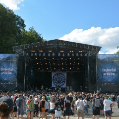 Taubertal-Festival 2018 (FR) - Hauptbühne - Mad Caddies  D71 1499