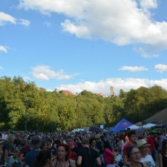 Taubertal-Festival 2018 (FR) - Impressionen  D71 1582