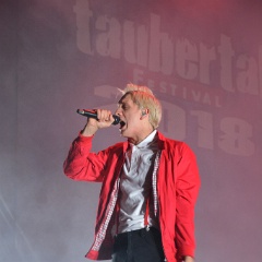 Taubertal-Festival 2018 (SA) - Hauptbühne - Kraftklub  D71 2199