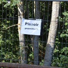 Taubertal-Festival 2018 (SO) - Impressionen  D71 2380