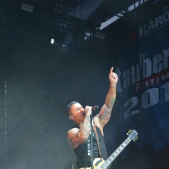 Taubertal-Festival 2018 (SO) - Hauptbühne - Broilers  D71 2506