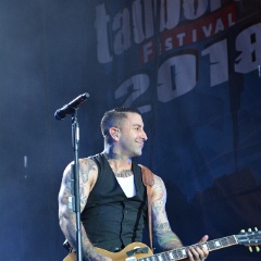 Taubertal-Festival 2018 (SO) - Hauptbühne - Broilers  D71 2543