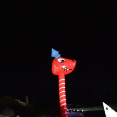 Taubertal-Festival 2019 (SA) - Impressionen  D71 8801