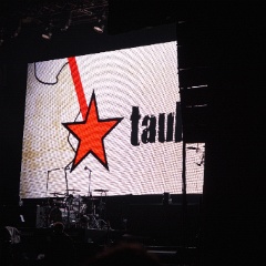 Taubertal-Festival 2019 (SO) - Hauptbühne - Die Toten Hosen  D71 9168