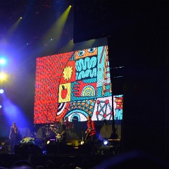 Taubertal-Festival 2019 (SO) - Hauptbühne - Die Toten Hosen  D71 9210