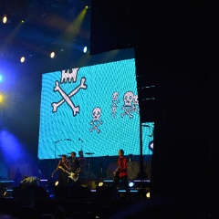 Taubertal-Festival 2019 (SO) - Hauptbühne - Die Toten Hosen  D71 9212