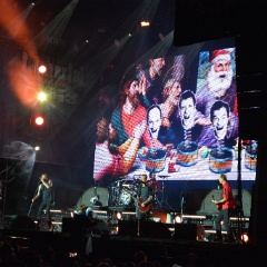 Taubertal-Festival 2019 (SO) - Hauptbühne - Die Toten Hosen  D71 9237