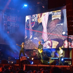 Taubertal-Festival 2019 (SO) - Hauptbühne - Die Toten Hosen  D71 9244