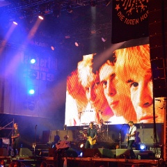 Taubertal-Festival 2019 (SO) - Hauptbühne - Die Toten Hosen  D71 9250