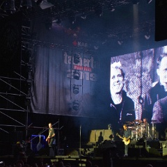 Taubertal-Festival 2019 (SO) - Hauptbühne - Die Toten Hosen  D71 9251