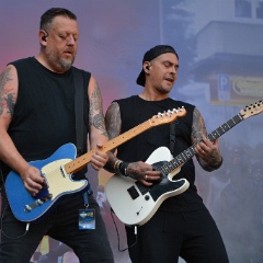 DSC 2012